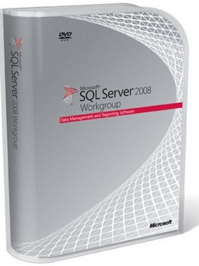 Microsoft SQL Server Workgroup CAL 2008 R2
